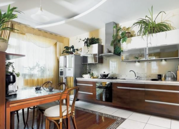 Dapur dengan tanaman hijau sebagai hiasan